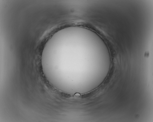 X0000112851447200909041518