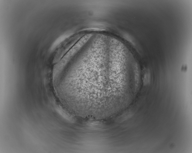 X0000112851448200909041518