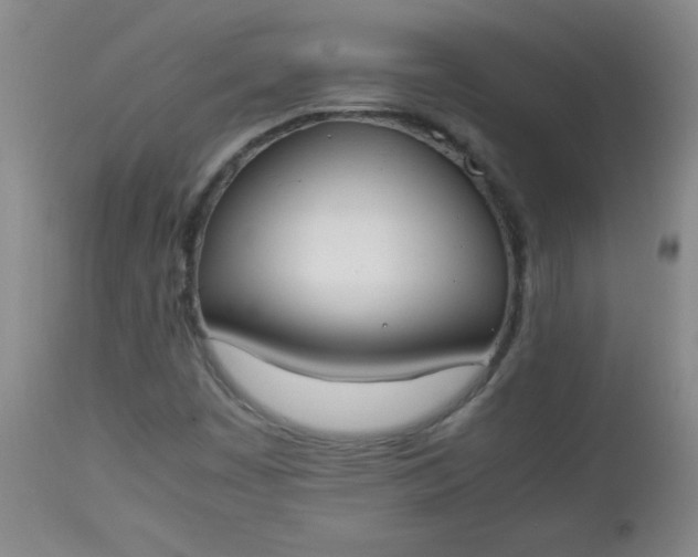 X0000112851449200909041518