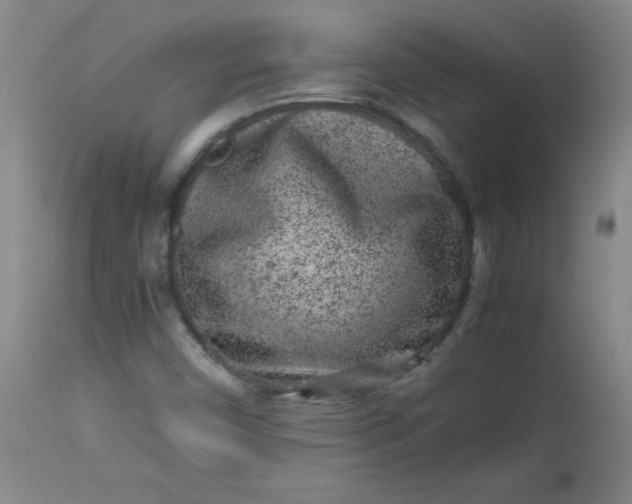 X0000112851450200909041518