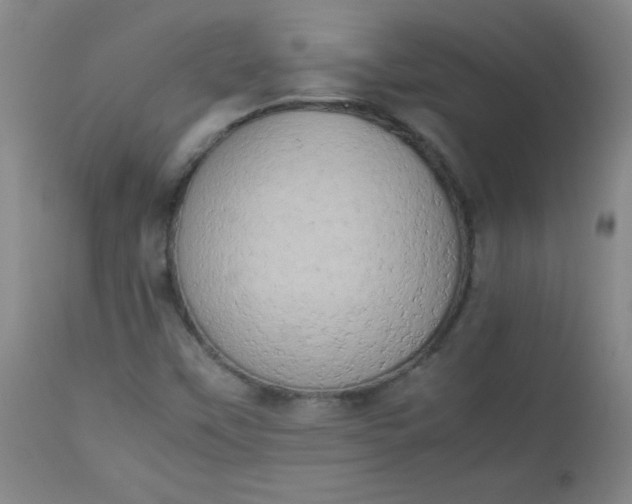 X0000112851451200909041518