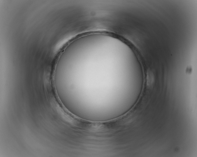 X0000112851452200909041518