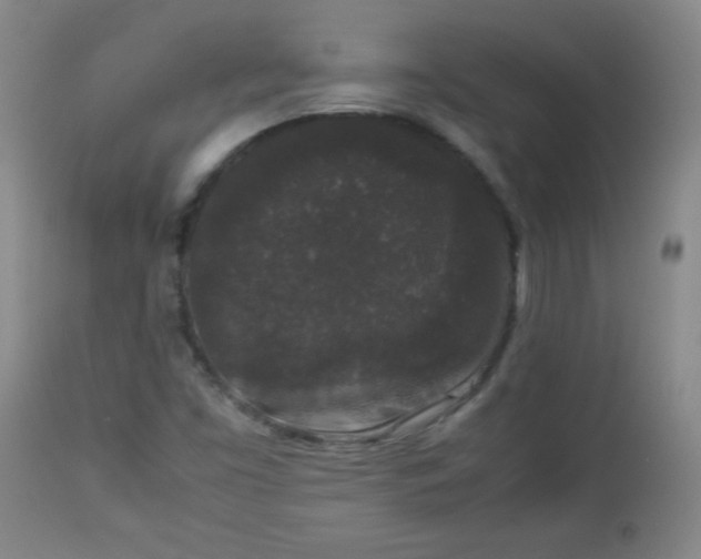 X0000112851453200909041518