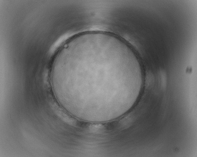 X0000112851454200909041518