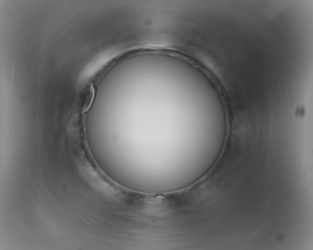 X0000112851456200909041518