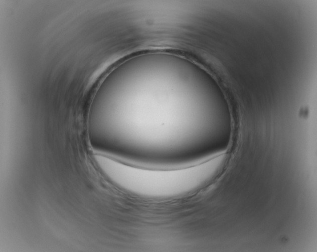 X0000112851457200909041518