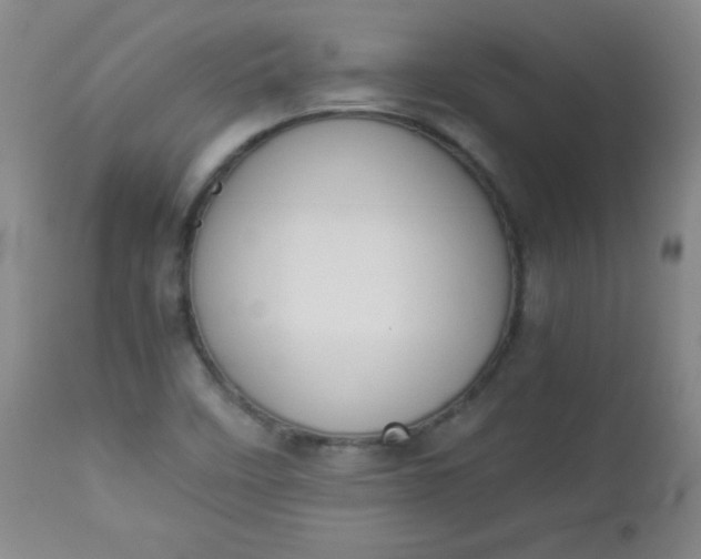 X0000112851458200909041518