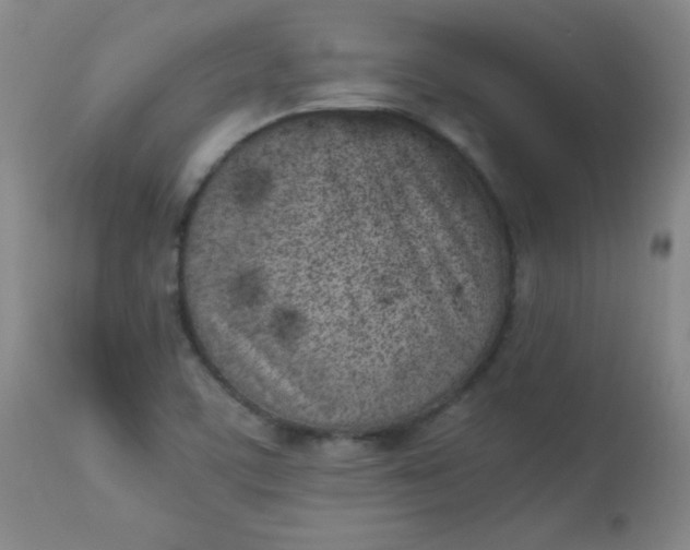 X0000112851459200909041518