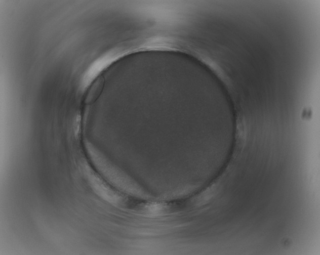 X0000112851461200909041518