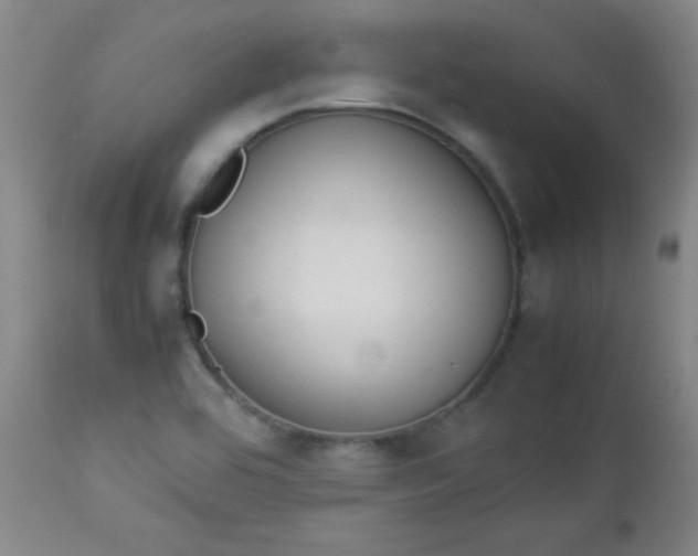 X0000112851464200909041518