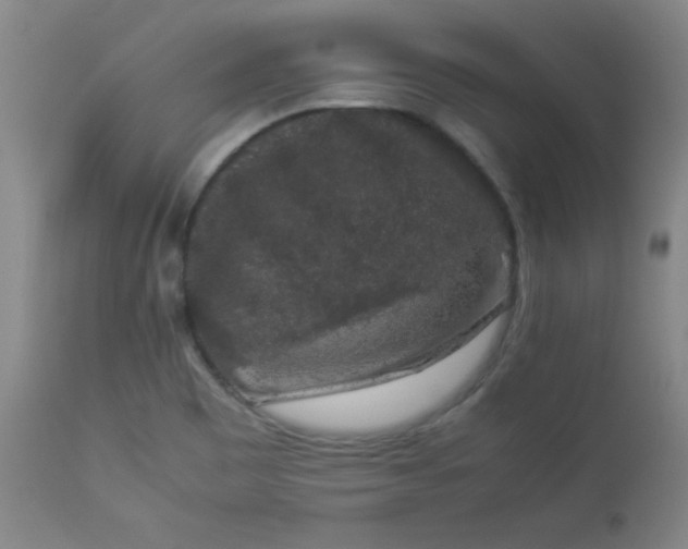 X0000112851465200909041518