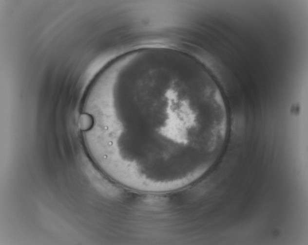 X0000112851466200909041518