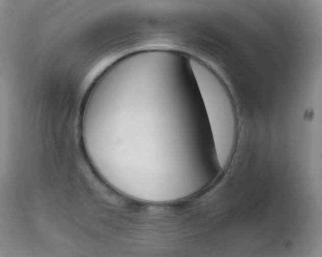 X0000112851469200909041518