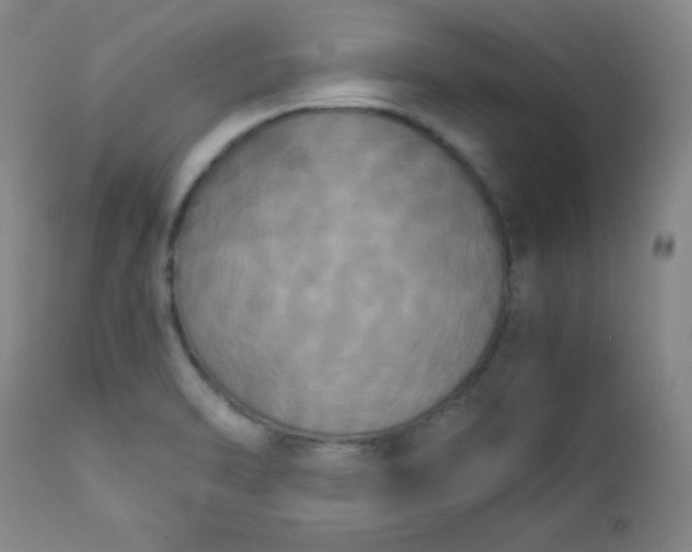 X0000112851470200909041518