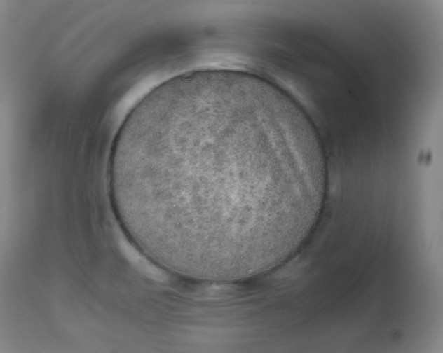 X0000112851471200909041518