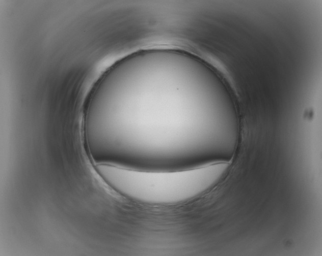 X0000112851472200909041518