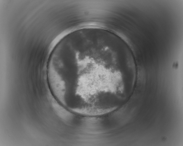 X0000112851474200909041518