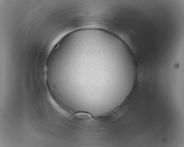 X0000112851476200909041518