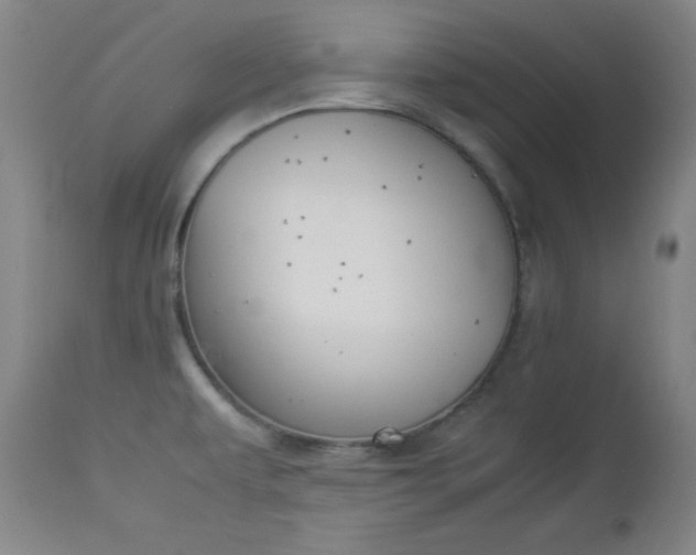 X0000112851479200909041518