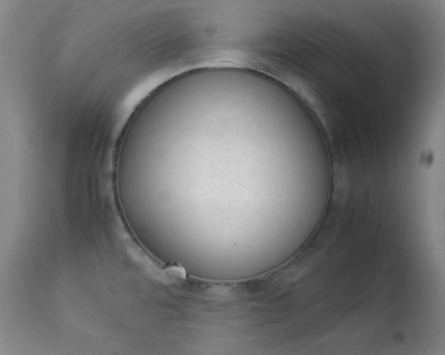 X0000112851480200909041518