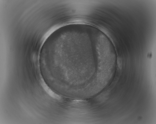 X0000112851482200909041518