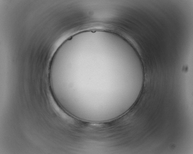 X0000112851483200909041518