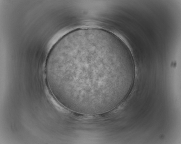 X0000112851485200909041518