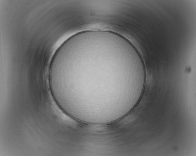 X0000112851486200909041518