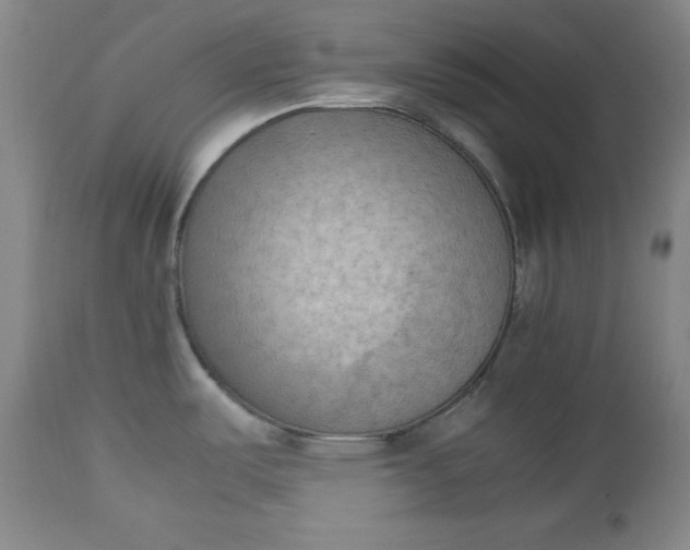 X0000112851487200909041518