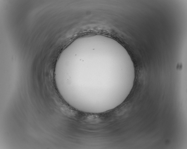 X0000112851489200909041517