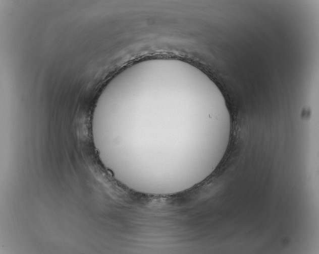 X0000112851490200909041517