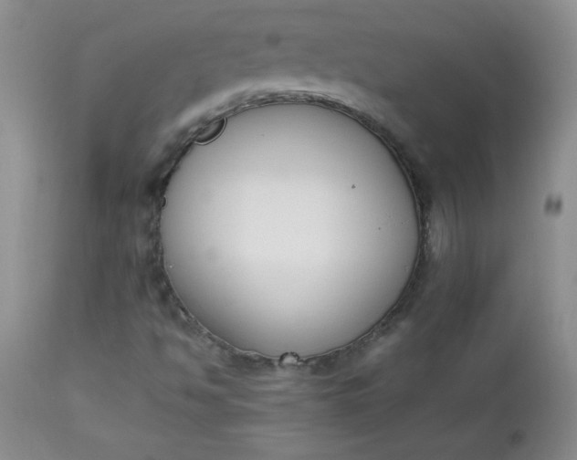 X0000112851494200909041517