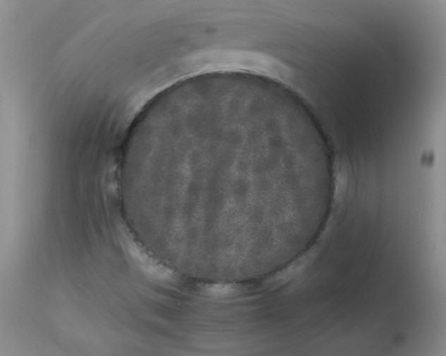 X0000112851497200909041517