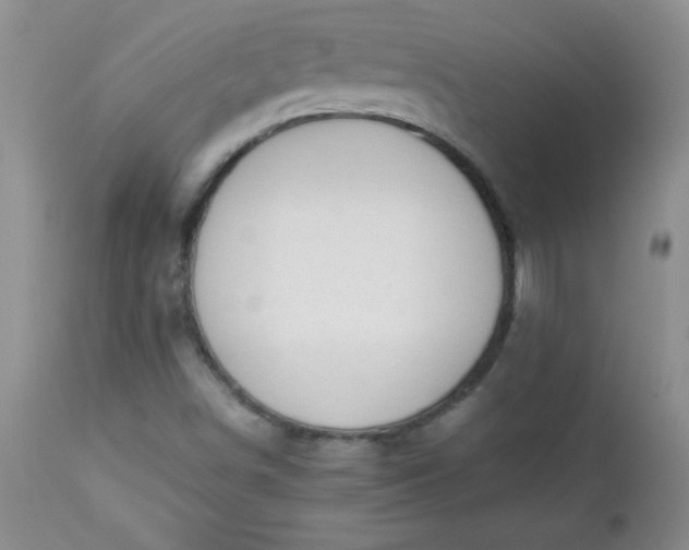 X0000112851498200909041517