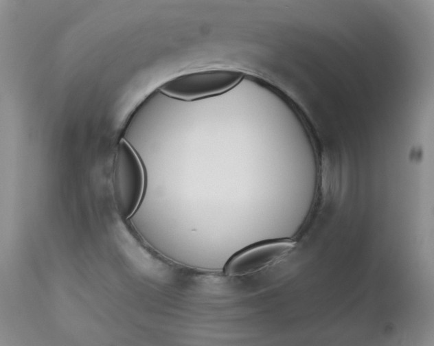 X0000112851500200909041517