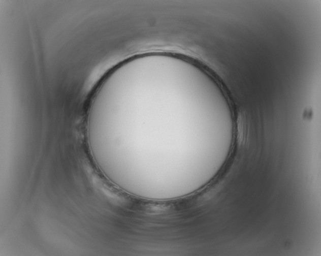 X0000112851501200909041517