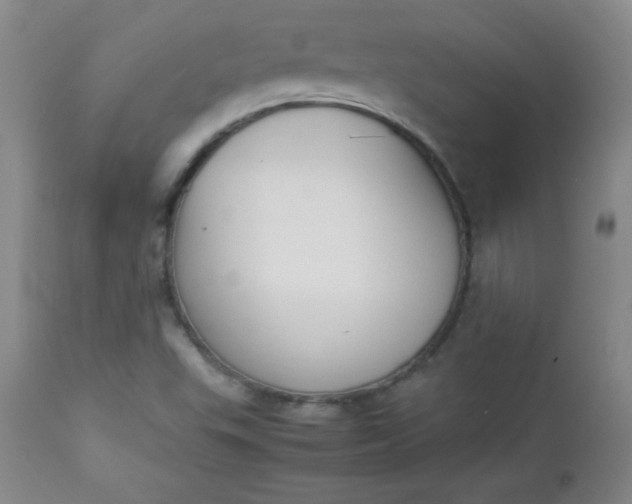 X0000112851503200909041517