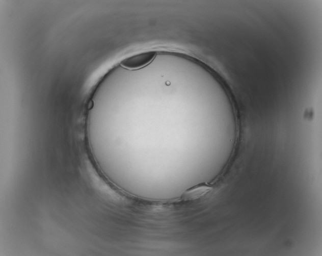 X0000112851504200909041517