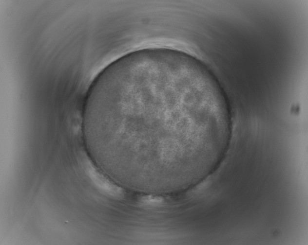 X0000112851505200909041517