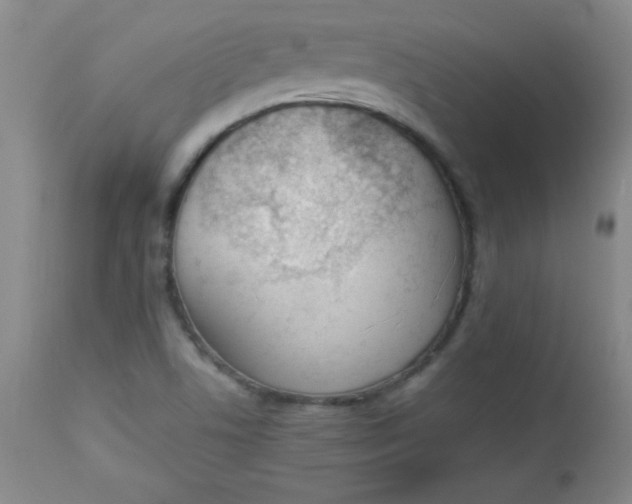 X0000112851506200909041517