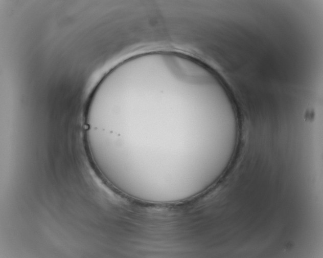 X0000112851508200909041517