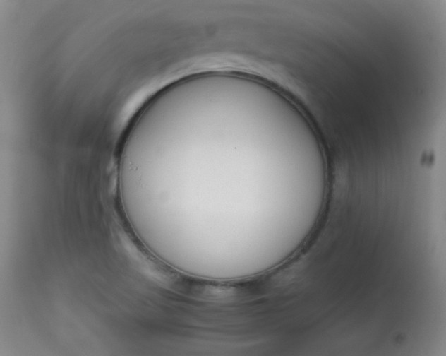 X0000112851509200909041517