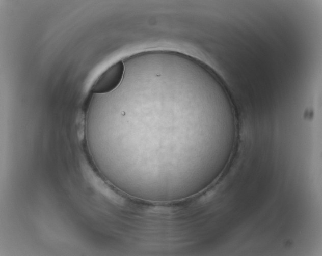 X0000112851510200909041517