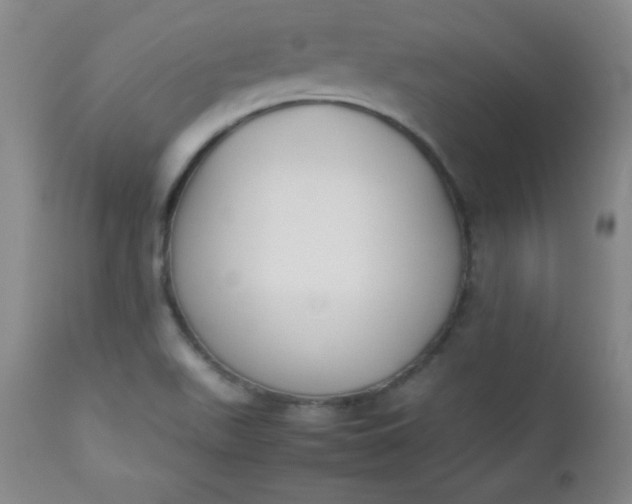 X0000112851511200909041517