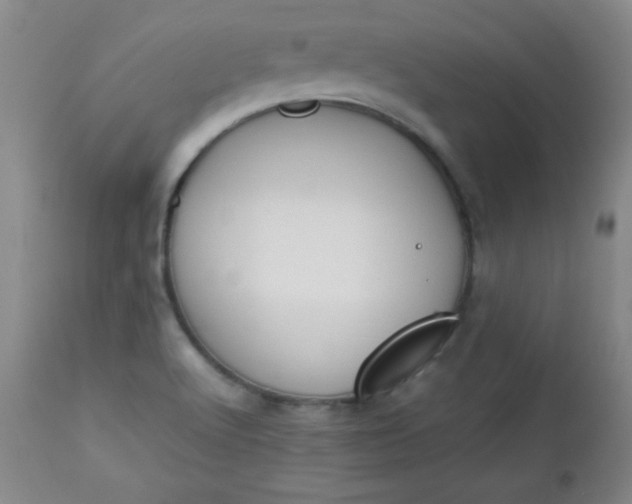 X0000112851512200909041517