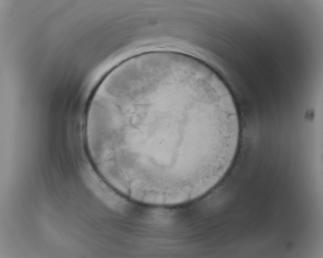 X0000112851514200909041517