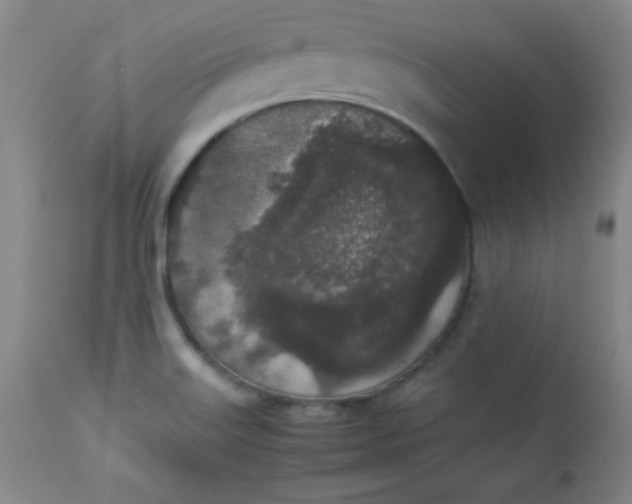 X0000112851515200909041517