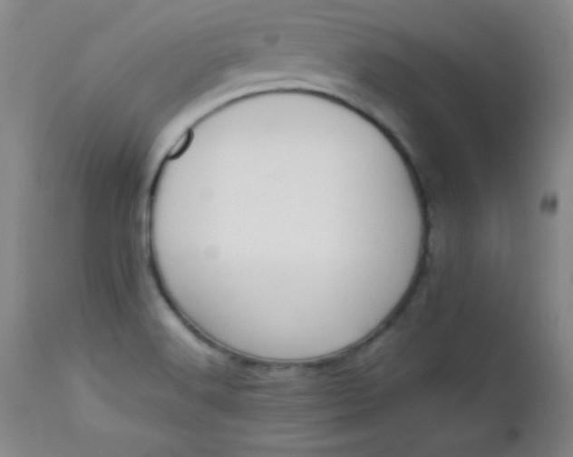 X0000112851516200909041517