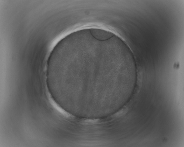 X0000112851519200909041517