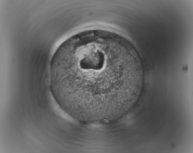 X0000112851522200909041517